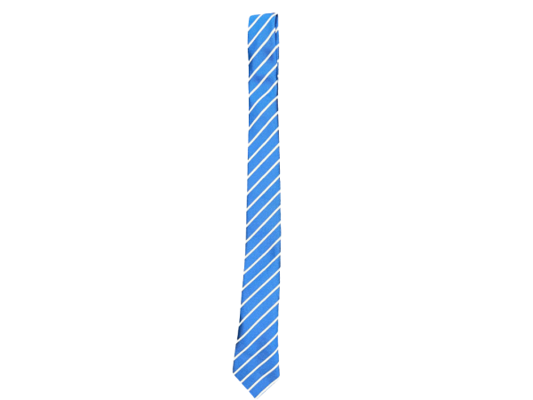 School Tie 39in (H&C)